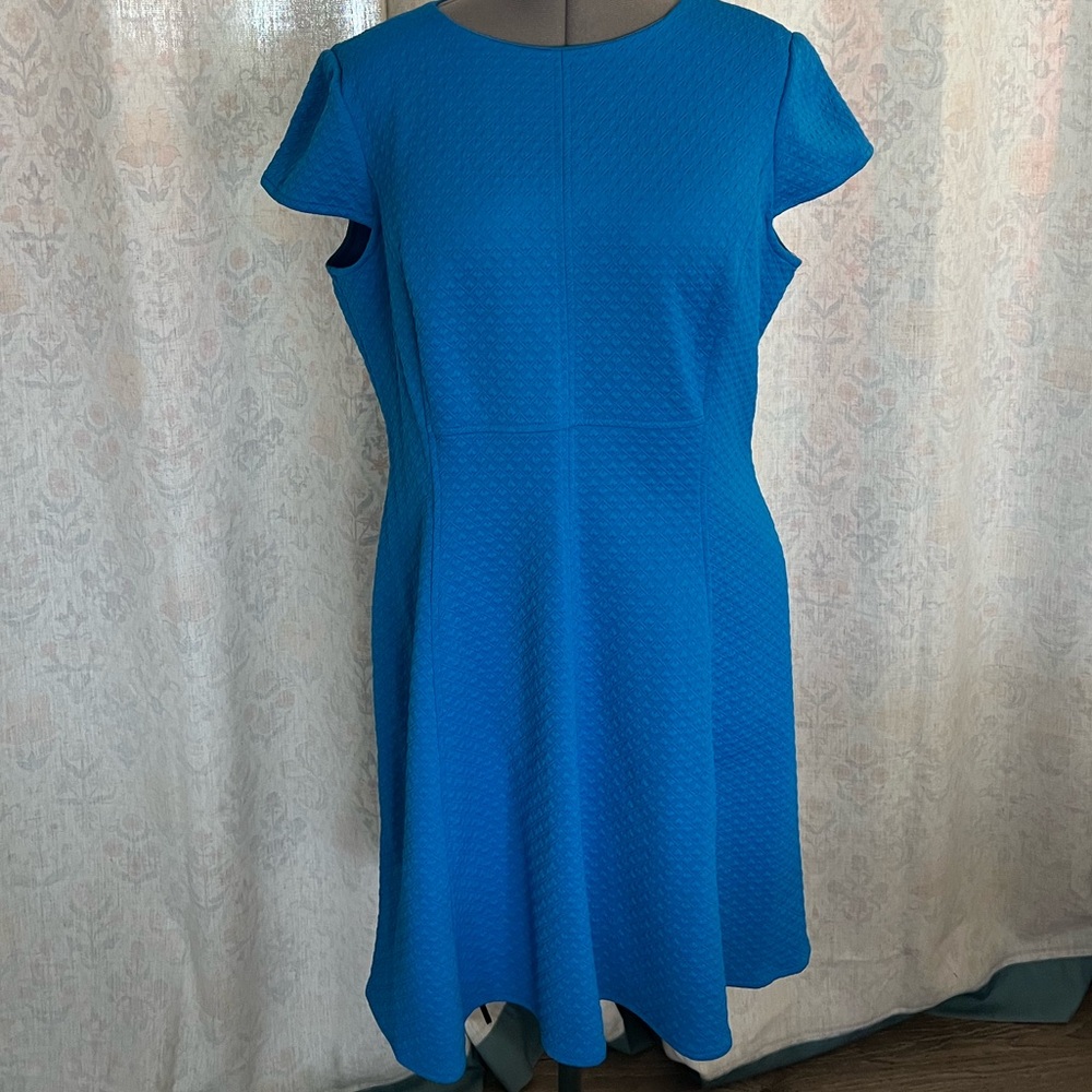 American Living Vibrant Blue Dress